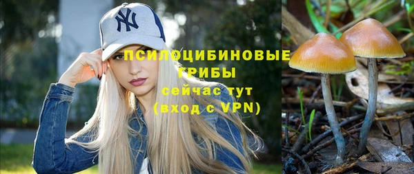 стаф Володарск